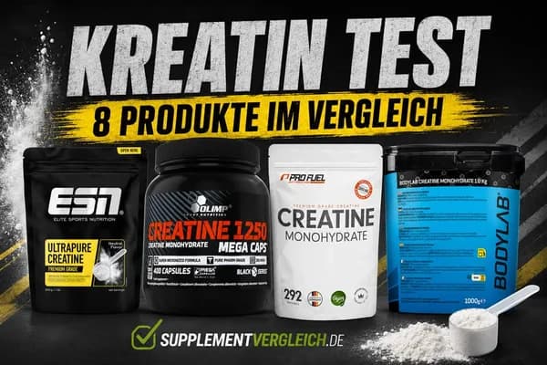 Kreatin Test